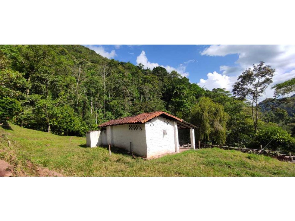 Se Vende Finca Ganadera 50 Hectáreas