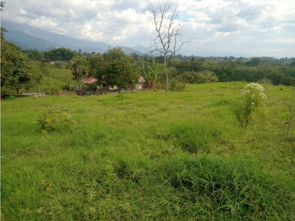 SE VENDE FINCA CULTIVADA EN PASTO EN CALARCA QUINDÍO