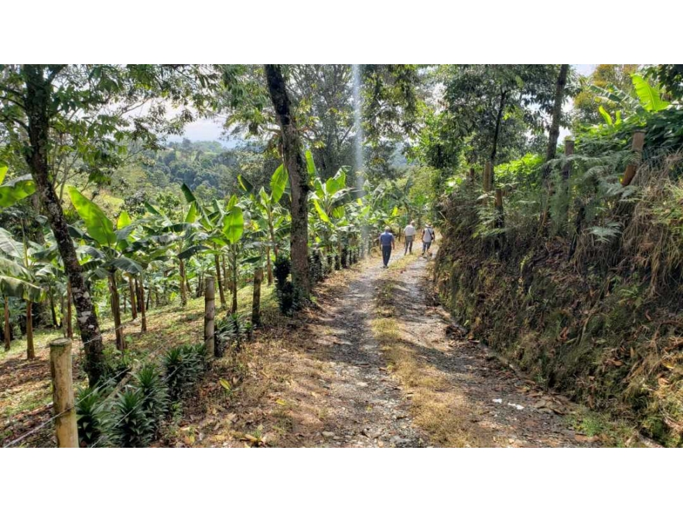 SE VENDE FINCA EN FILANDIA QUINDÍO