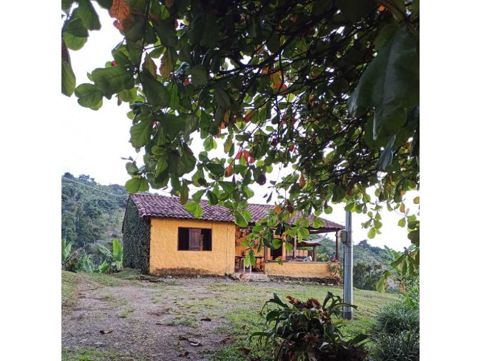 Se vende finca en marcella. Risaralda