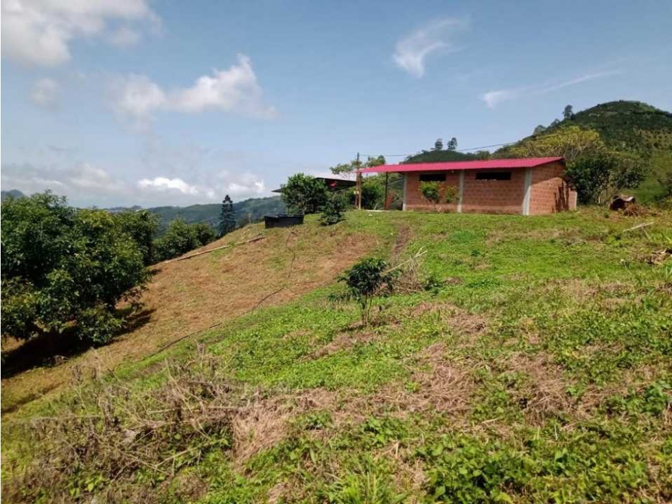 Se vende finca en Marquetalia Caldas