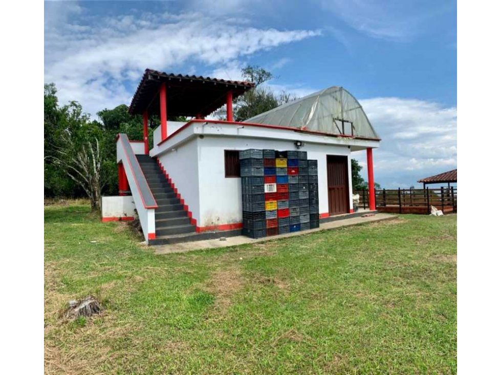 SE VENDE FINCA EN TAMESIS