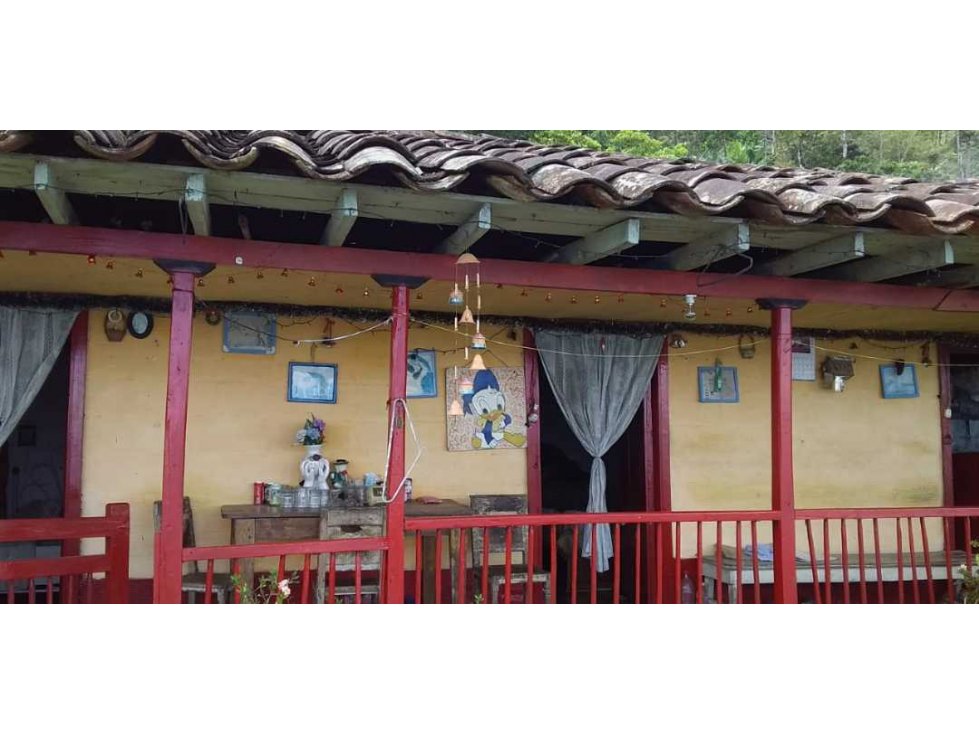 SE VENDE HERMOSA FINCA CAFETERA Y GANADERA EN TAMISES ANT 