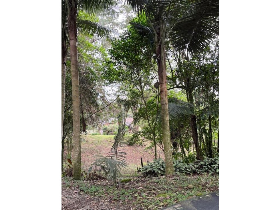 se vende lote de 12.000 m2 con dos casas campestres , Circasia Quindio