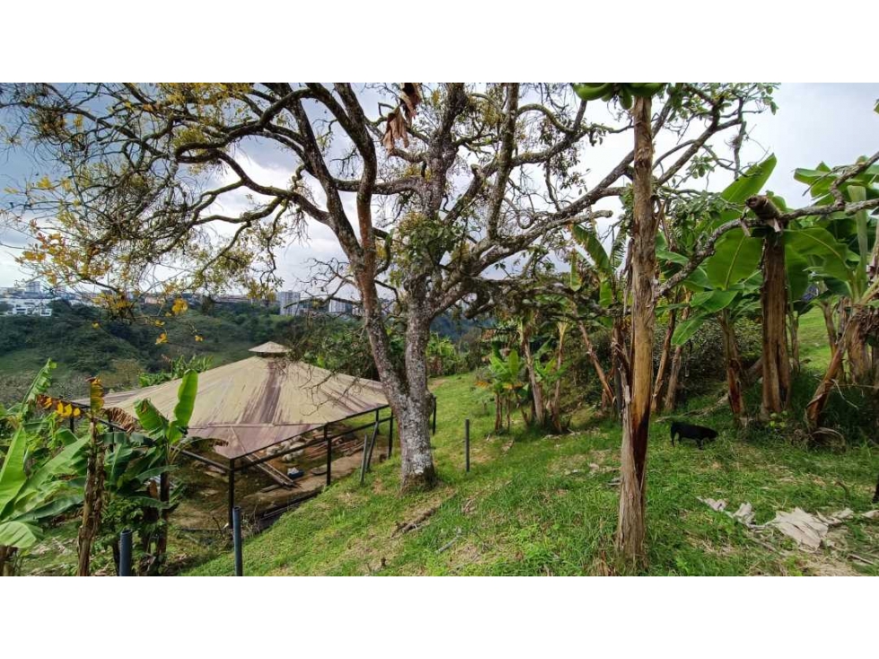 Se vende lote en la vía chaguala Armenia, Quindio