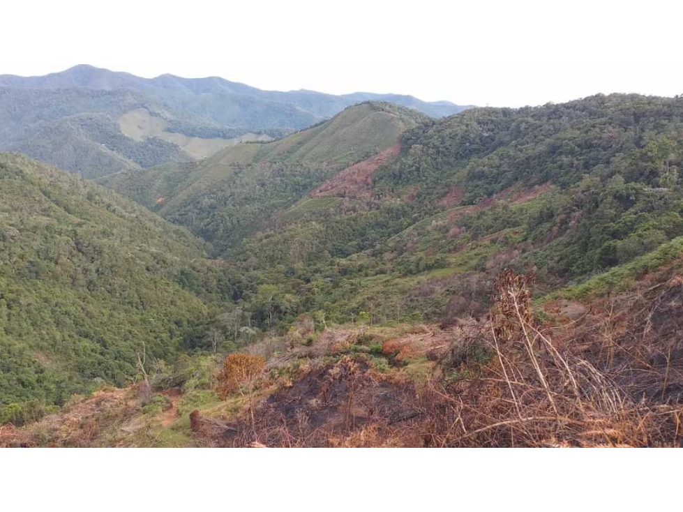 VENDO FINCA AGROINDUSTRIAL 360 HECTÁREAS,  EN EL SUROESTE ANTIQUEÑO