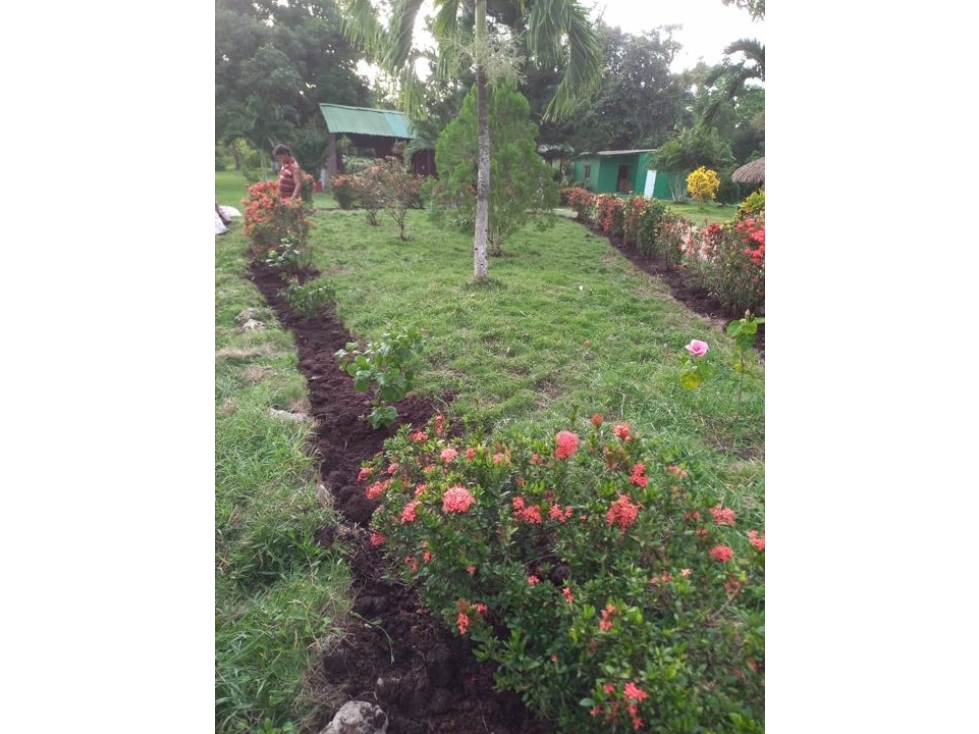 Vendo finca en Santa Rosa bolívar