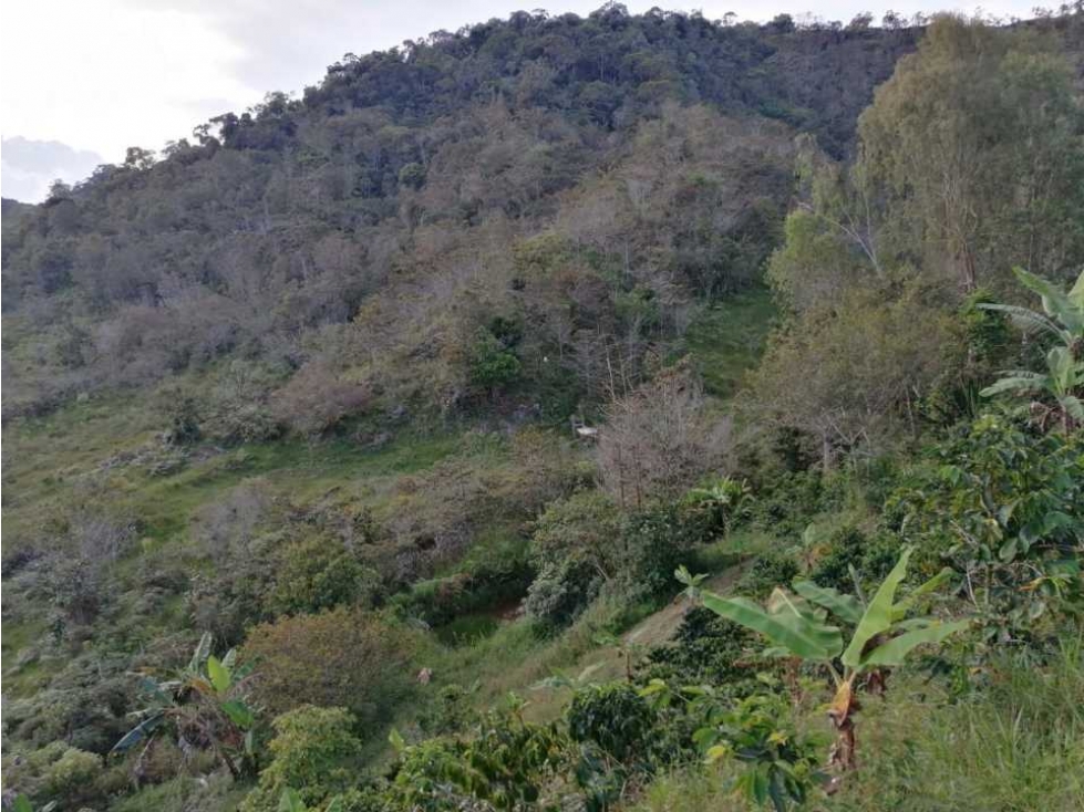 VENDO FINCA EN SANTO DOMINGO ANTIOQUIA