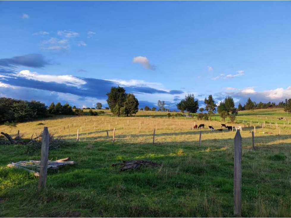 VENTA DE LOTE CON AGUA LUZ EN PAIPA BOYACA NEGOCIABLE