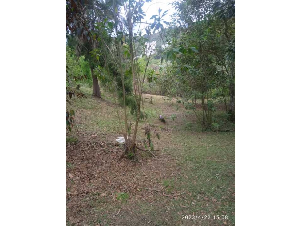 VENDO HERMOSO LOTE EN GUARNE SECTOR HOJAS ANCHAS