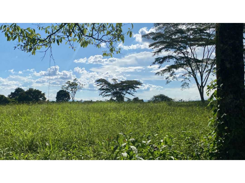 VENDO HERMOSOS  LOTES MULTIPROPOSITOS EN EL QUINDIO