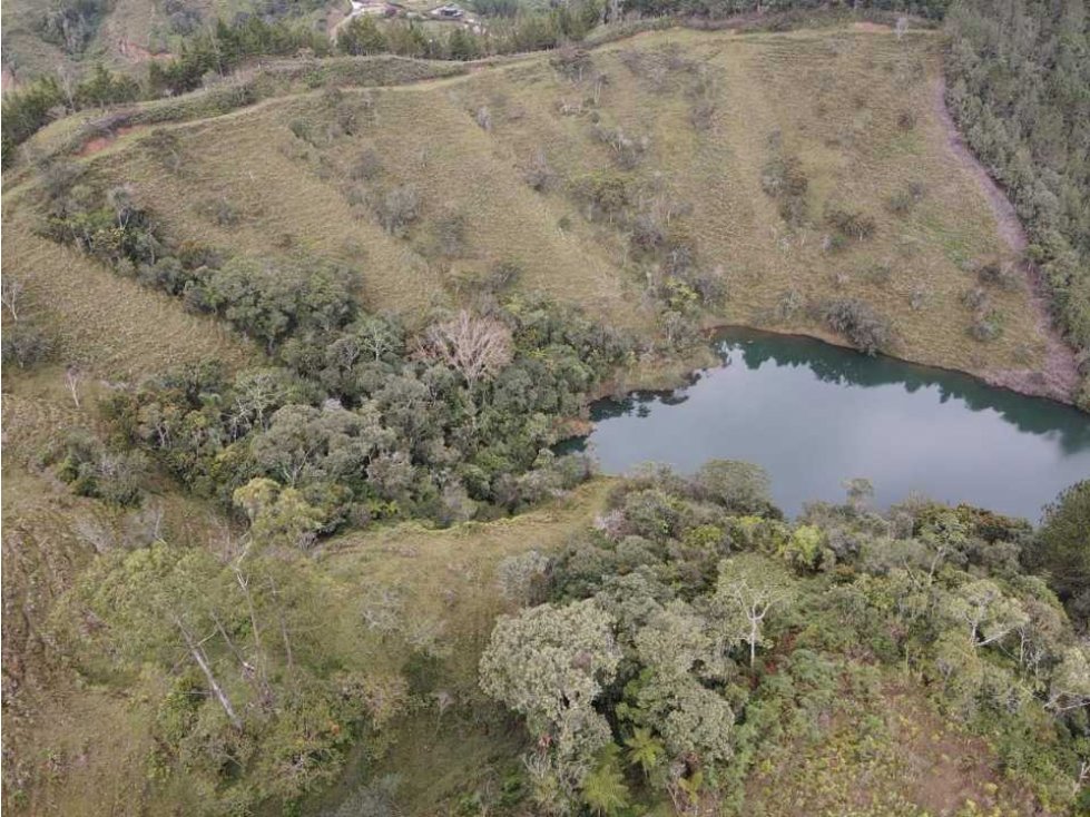 Vendo lote en el peñol vereda el Marial