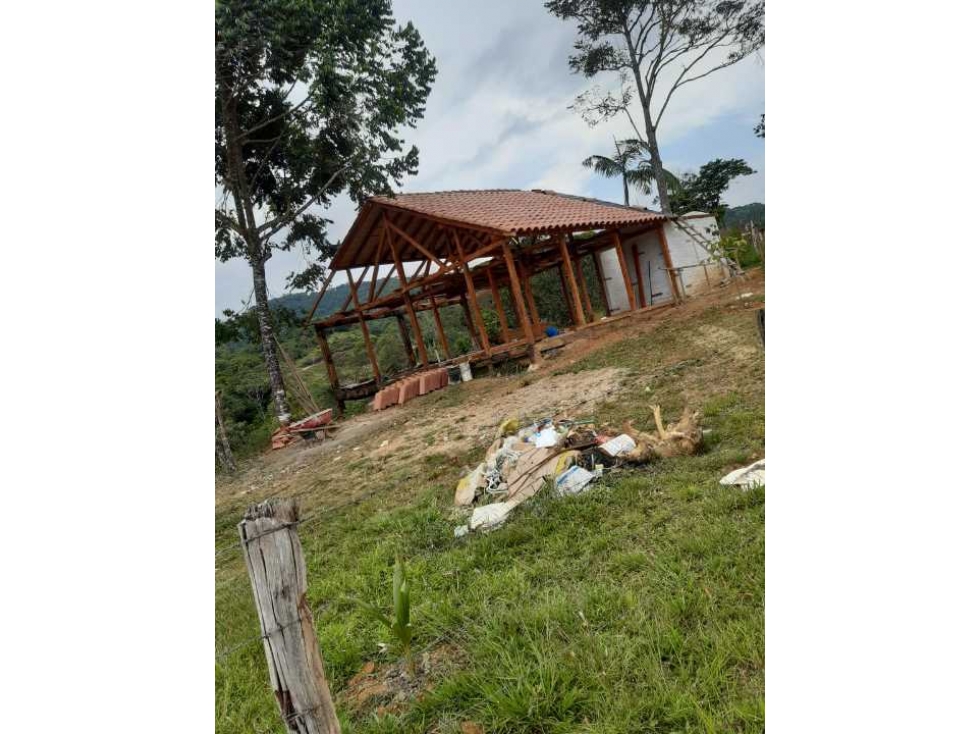 VENDO LOTE EN SAN CARLOS, ANTIOQUIA, VEREDA LA ESPERANZA