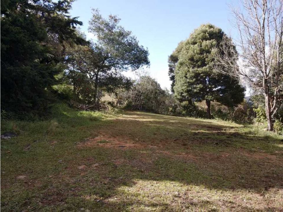 Vendo lote sobre vía principal Palma Rionegro