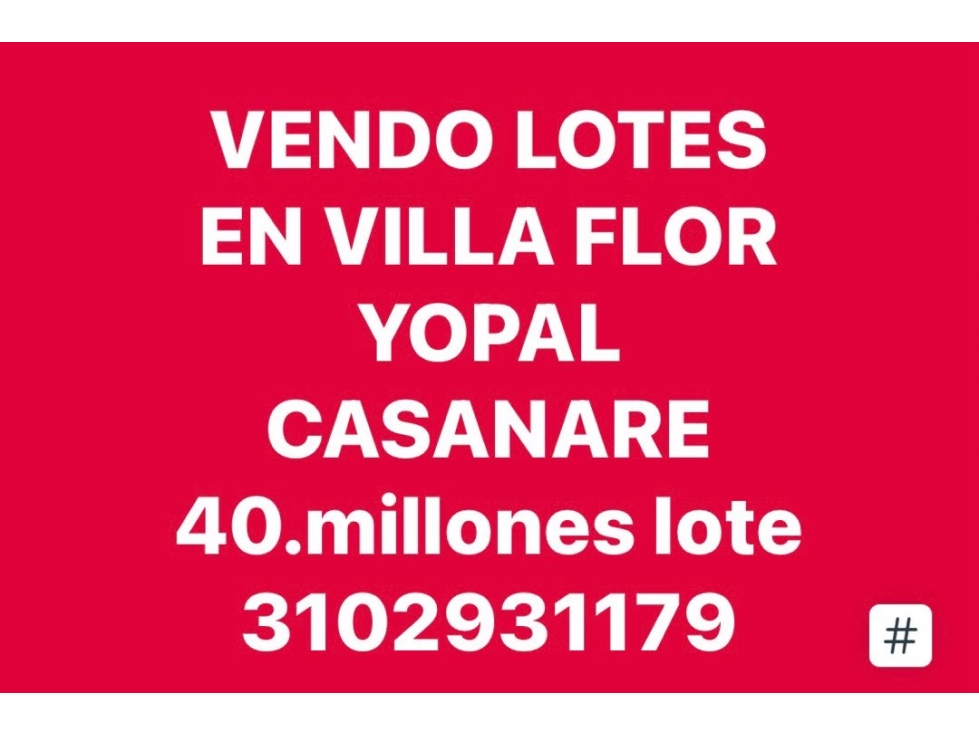 VENTA de 8 lotes lotes seguidos