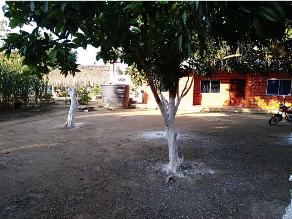 VENTA DE FINCA CHIQUI ,SAN PELAYO