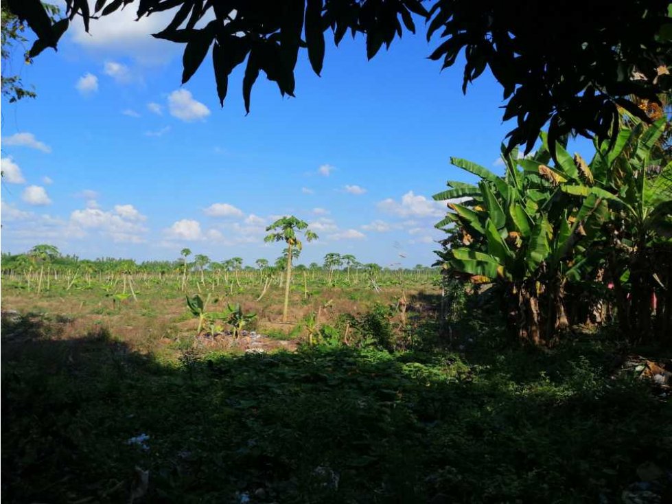 VENTA DE FINCA EN CERETE, CORDOBA