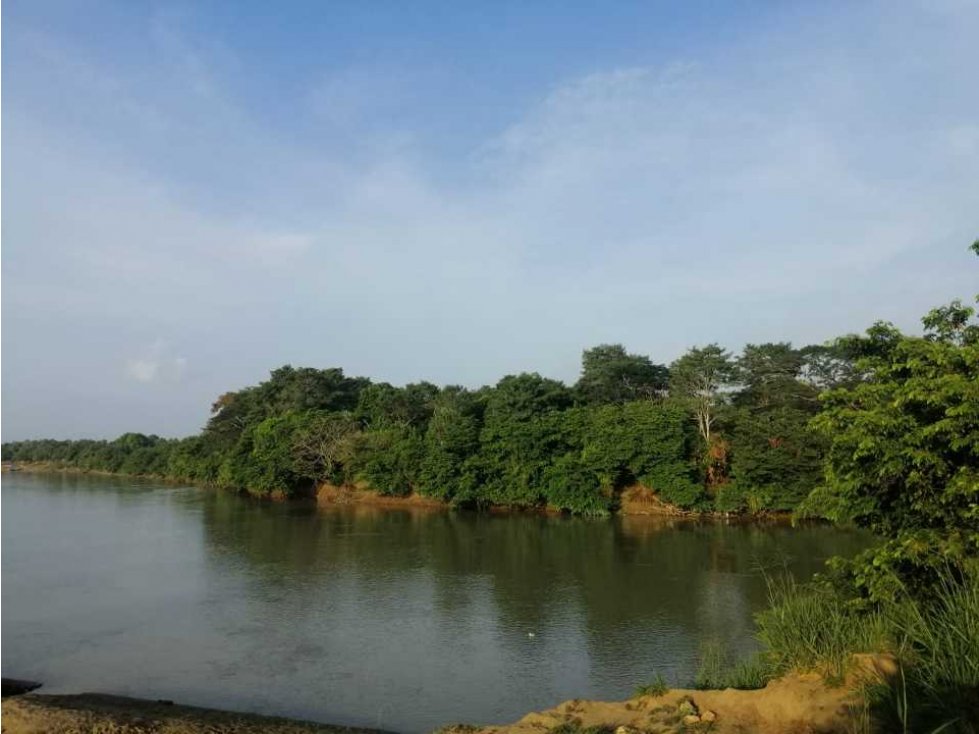 VENTA DE FINCA EN GARZÓNES, MONTERIA