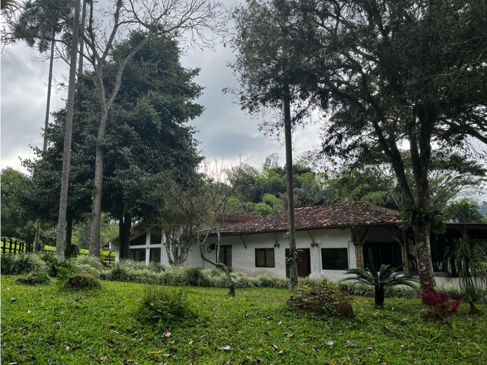 VENTA DE FINCA GANADERA EN EL QUINDIO, COLOMBIA