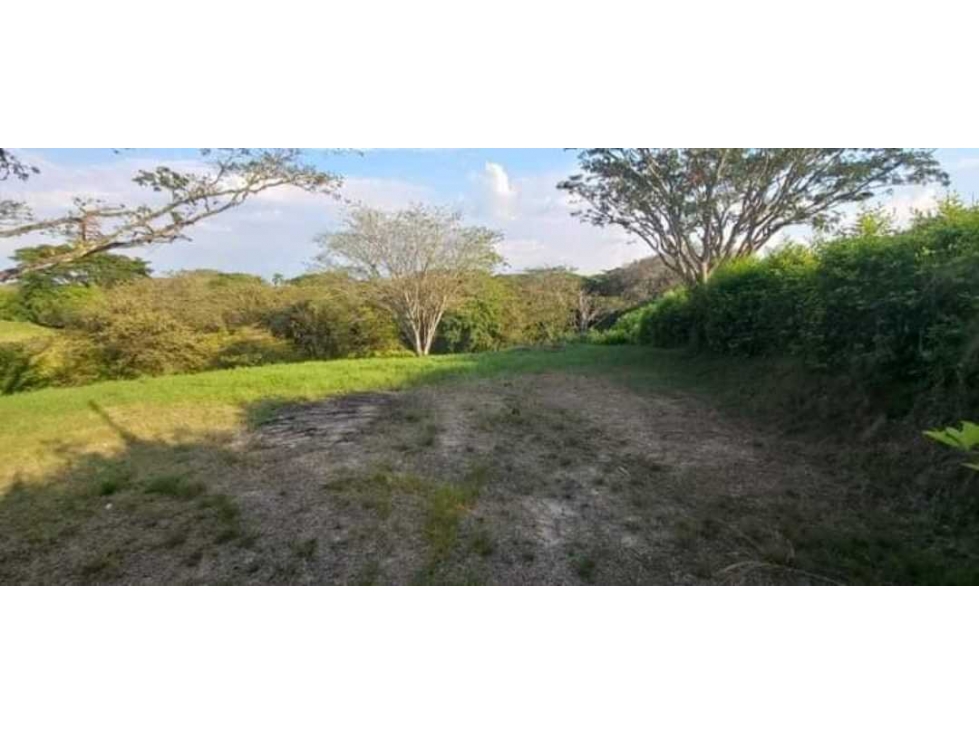 VENTA DE LOTE CAMPESTRE VIA CARTAGO - ANSERMANUEVO