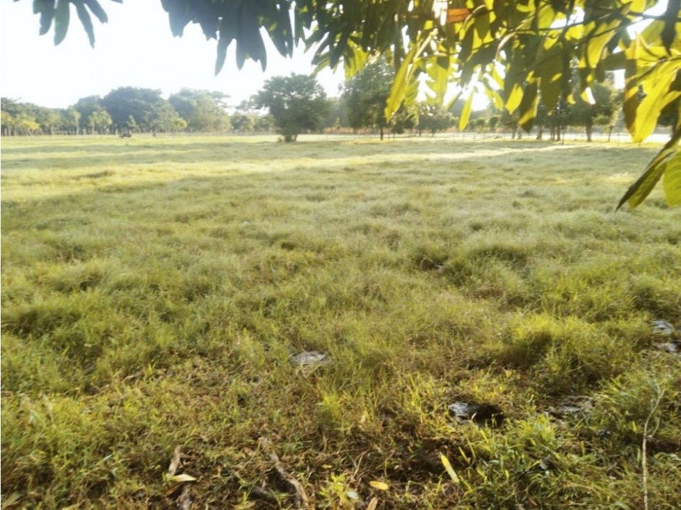 Venta de lote en Besito Volao, Montería