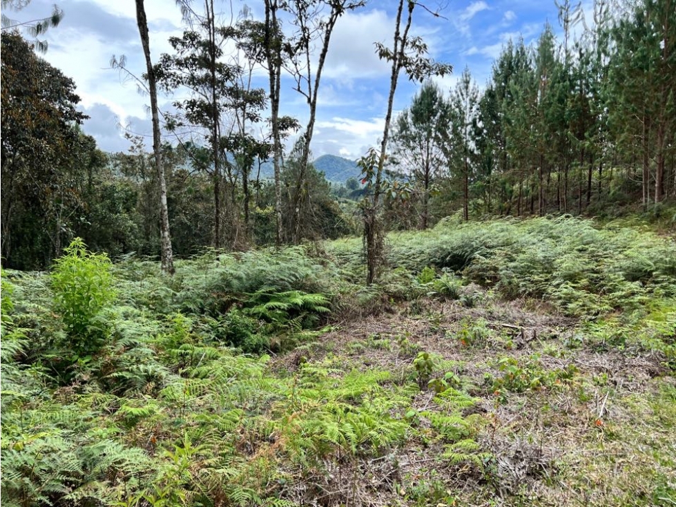 Venta de Lote en el Retiro Pantanillo