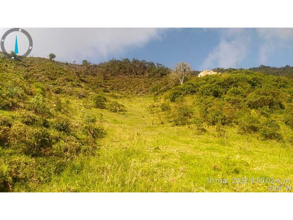 VENTA DE LOTE RURAL LA CEJA, VEREDA LA FÁTIMA CERCA AL SALTO DEL BUEY.