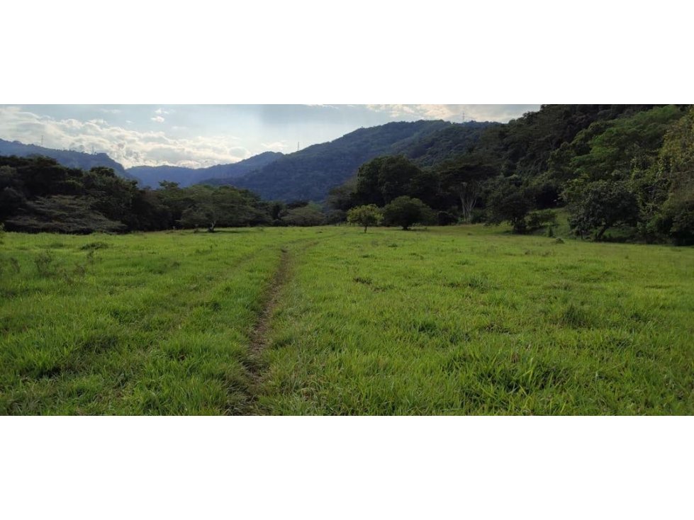 Venta Finca casi en las calles de mariquita tolima 38 hectáreas