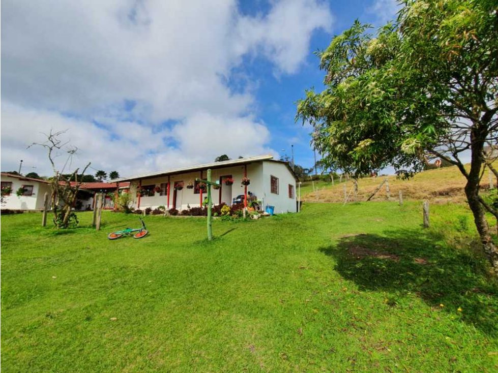 FINCA EN EL ALTO DE MEDINA, PIEDRAS BLANCAS /GUARNE