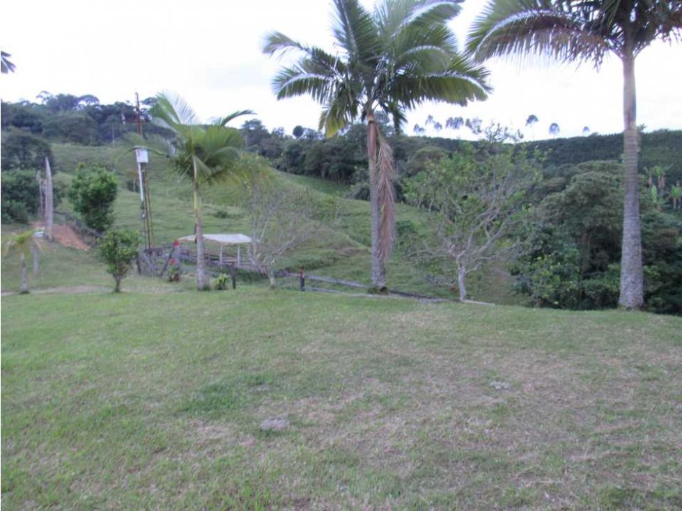 VENTA HERMOSA FINCA UBICADA EN MARSELLA RISARALDA