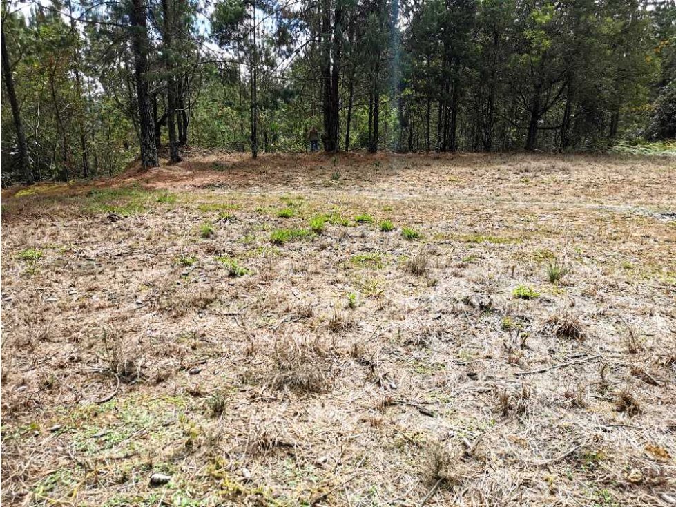 Venta Lote en El Alto de las Palmas