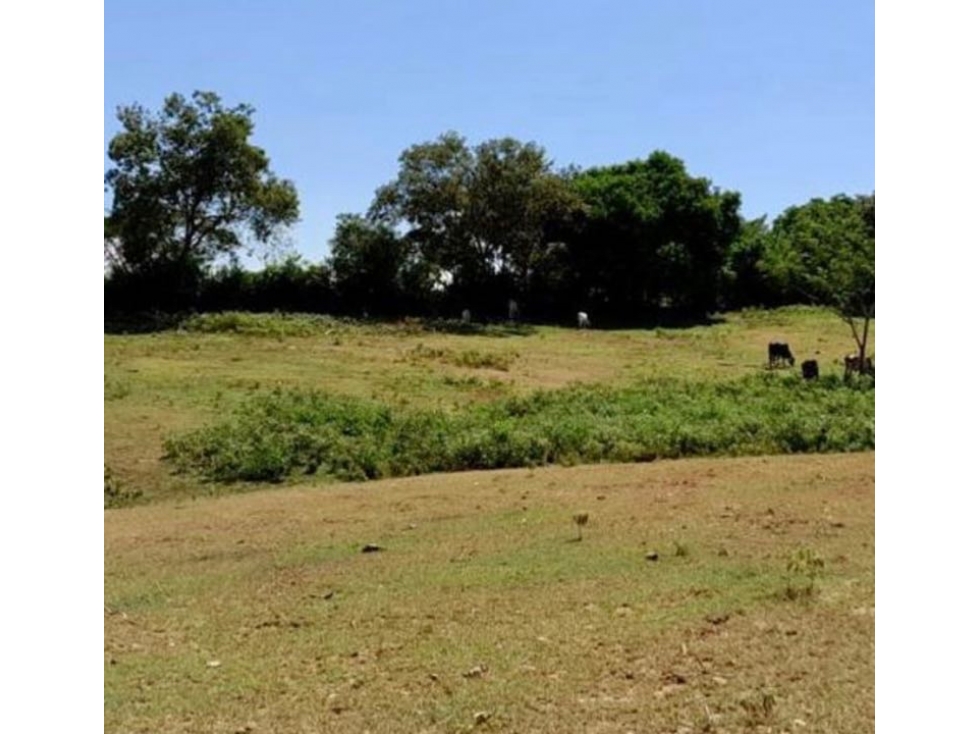 VENTA ESPECTACULARES LOTES  EN RICAURTE, CUNDINAMARCA