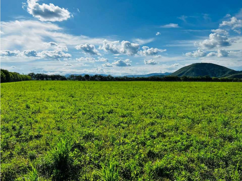 VENTA/PERMUTA FINCA EN FLANDES TOLIMA VEREDA TOPACIO