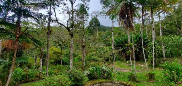 FINCA EN VENTA EN LA CUMBRE 7 HECTAREAS + CASA + ESTABLO